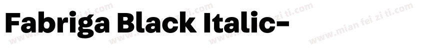 Fabriga Black Italic字体转换